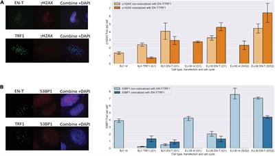 Telomeric Double Strand Breaks in G1 Human Cells Facilitate Formation of 5′ C-Rich Overhangs and Recruitment of TERRA